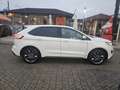 Ford Edge Edge  2.0 tdci Sport s 4x4 Bianco - thumbnail 5