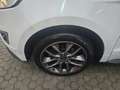 Ford Edge Edge  2.0 tdci Sport s 4x4 Bianco - thumbnail 15