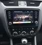 Skoda Octavia Octavia Combi 2,0TDI Style DSG LED VIRTUAL STAND-H Zwart - thumbnail 10