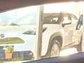 Fiat 500 500 1.0 hybrid 70c chilometri ZERO PRONTA CONSEGNA Bianco - thumbnail 14