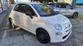 Fiat 500 500 1.0 hybrid 70c chilometri ZERO PRONTA CONSEGNA Bianco - thumbnail 4