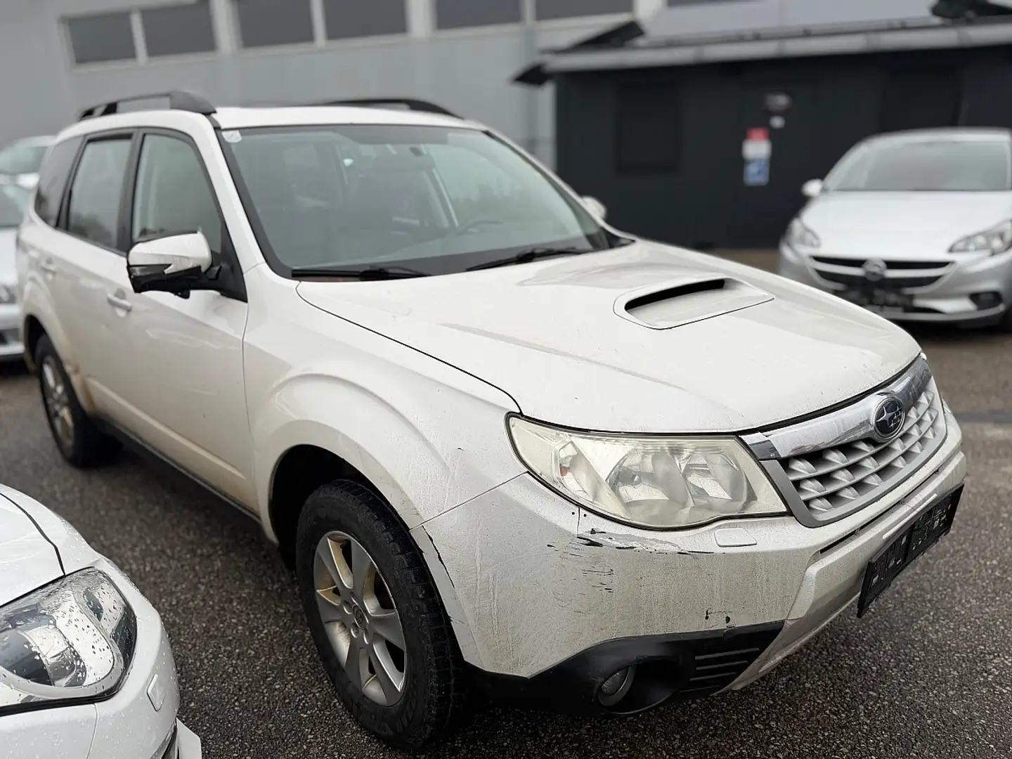 Subaru Forester Weiß - 2
