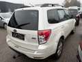 Subaru Forester Weiß - thumbnail 4