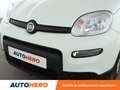 Fiat Panda 1.0 Hybride BSG Panda Blanc - thumbnail 24