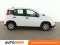 Fiat Panda 1.0 Hybride BSG Panda Blanc - thumbnail 7