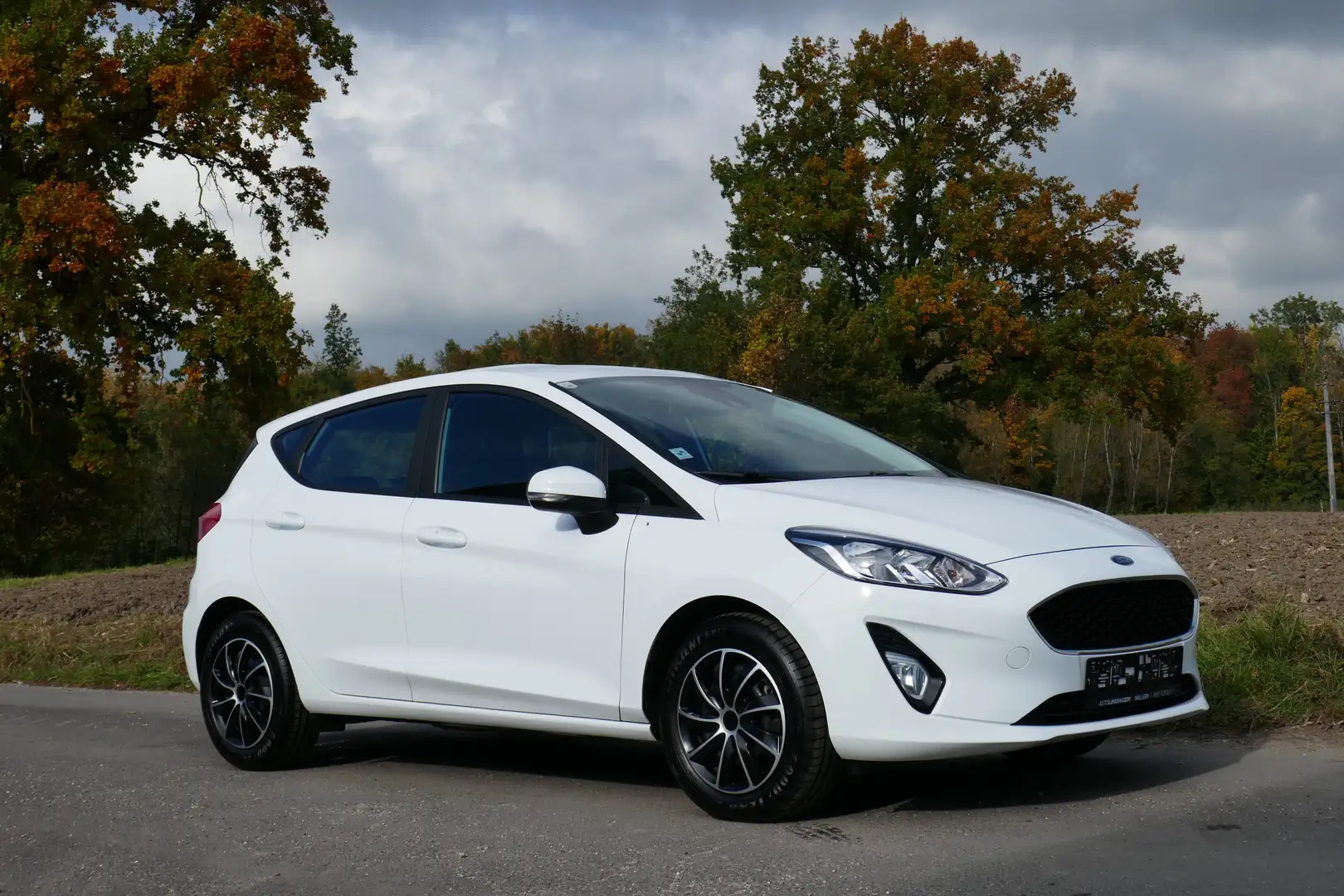 Ford Fiesta Trend Weiß - 1