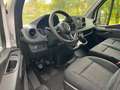 Mercedes-Benz Sprinter T43/35 416 CDI RWD Cab SPONDA DHOLLANDIA Bianco - thumbnail 11