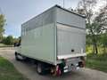 Mercedes-Benz Sprinter T43/35 416 CDI RWD Cab SPONDA DHOLLANDIA Bianco - thumbnail 7