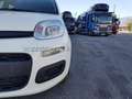 Fiat Panda Panda 1.0 70cv Hybrid Icon Wit - thumbnail 18