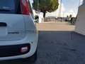 Fiat Panda Panda 1.0 70cv Hybrid Icon Wit - thumbnail 19