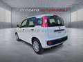 Fiat Panda Panda 1.0 70cv Hybrid Icon Wit - thumbnail 3