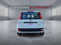 Fiat Panda Panda 1.0 70cv Hybrid Icon Wit - thumbnail 5