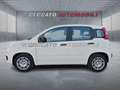 Fiat Panda Panda 1.0 70cv Hybrid Icon Wit - thumbnail 2