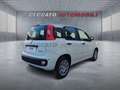 Fiat Panda Panda 1.0 70cv Hybrid Icon Wit - thumbnail 17