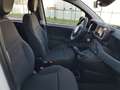 Fiat Panda Panda 1.0 70cv Hybrid Icon Wit - thumbnail 23