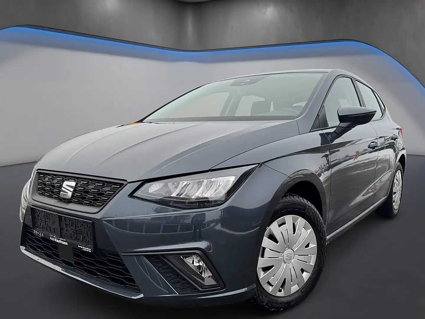 SEAT Ibiza 1,0 TSI Reference *Werksgarantie*Sitzhz*Tempomat* Grau - 1