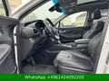 Hyundai SANTA FE Premium 4WD 7SITZ|HUD|PANO|ACC|KRELL Blanc - thumbnail 11