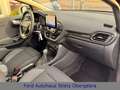 Ford Puma Titanium Design,Komfort+Winterp.5J.Garantie Schwarz - thumbnail 15