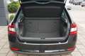 Skoda Rapid/Spaceback Spaceback Elegance Panorama Sitzheizung Noir - thumbnail 16