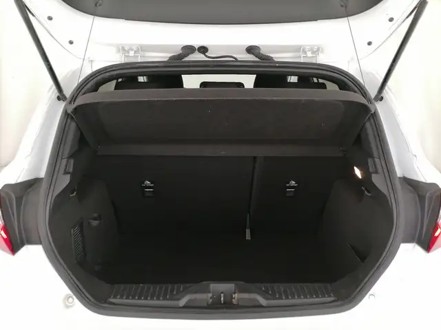 Ford Fiesta view 10