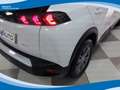 Peugeot 2008 1.2 PureTech 100cv Active EU6 Bianco - thumbnail 14