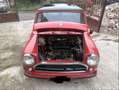 Innocenti Mini - thumbnail 8