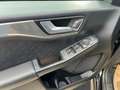 Ford Kuga Titanium 1,5EBlue 120PS Aut. Schwarz - thumbnail 10