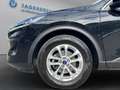 Ford Kuga Titanium 1,5EBlue 120PS Aut. Schwarz - thumbnail 19