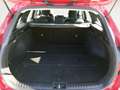 Kia Ceed / cee'd 1.0 T-GDI Drive Rojo - thumbnail 11