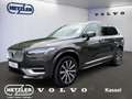 Volvo XC90 Plus Bright AWD B5 Diesel EU6d 7-Sitzer StandHZG A Gris - thumbnail 1
