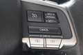 Subaru Forester 2.0 Comfort - Dealer onderhouden - Afneembare Trek Gris - thumbnail 16