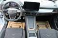 CUPRA Born 58/62 e-Boost 170kW/231PS mit vielen Extras! Weiß - thumbnail 13