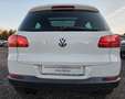 Volkswagen Tiguan 2.0 TDI Sport & Style 4Motion*AHK*StdHz Weiß - thumbnail 9