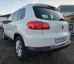 Volkswagen Tiguan 2.0 TDI Sport & Style 4Motion*AHK*StdHz Weiß - thumbnail 11
