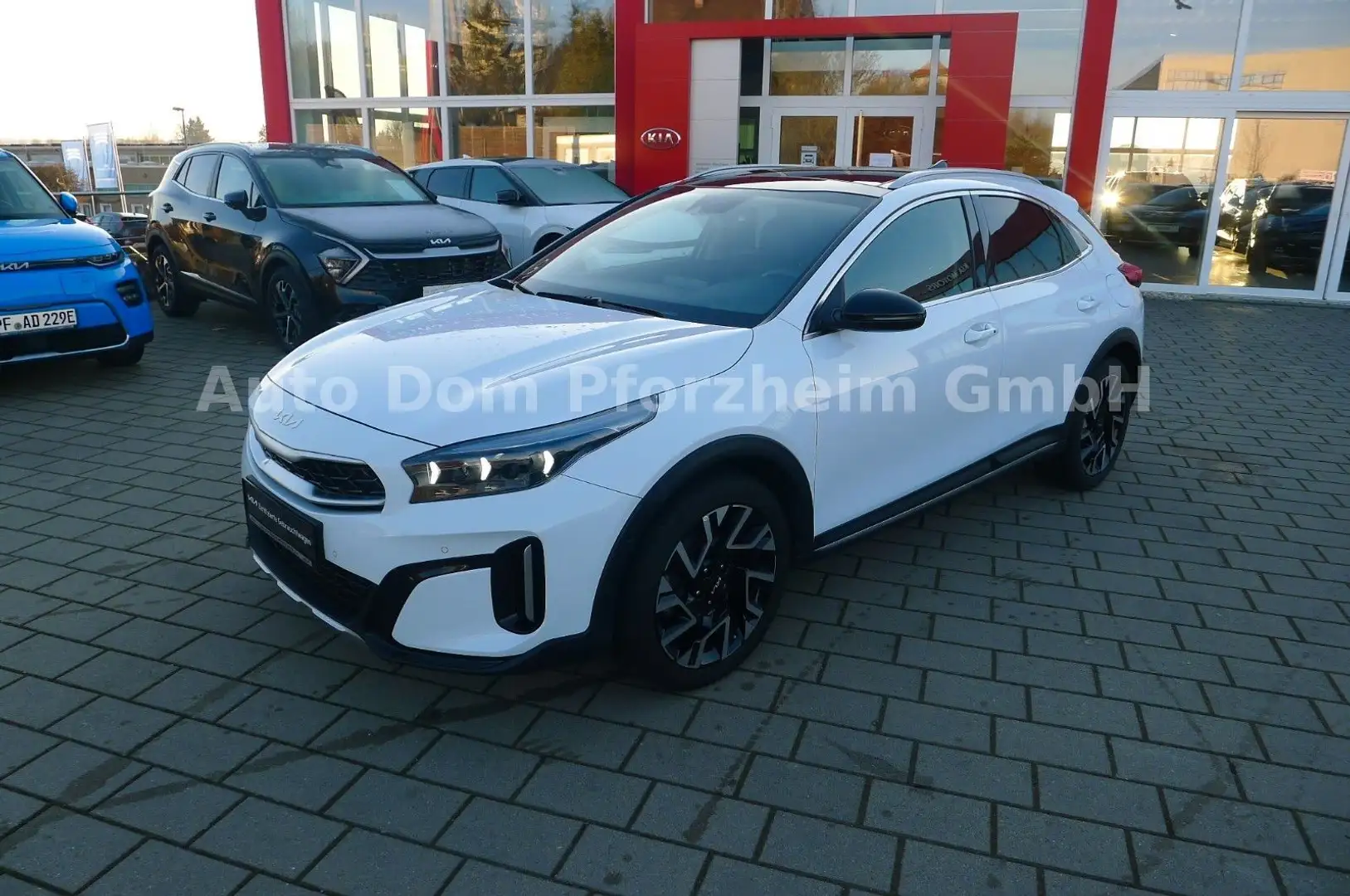 Kia XCeed 1,6 D 48V  DCT Platinum/Panorama Weiß - 1