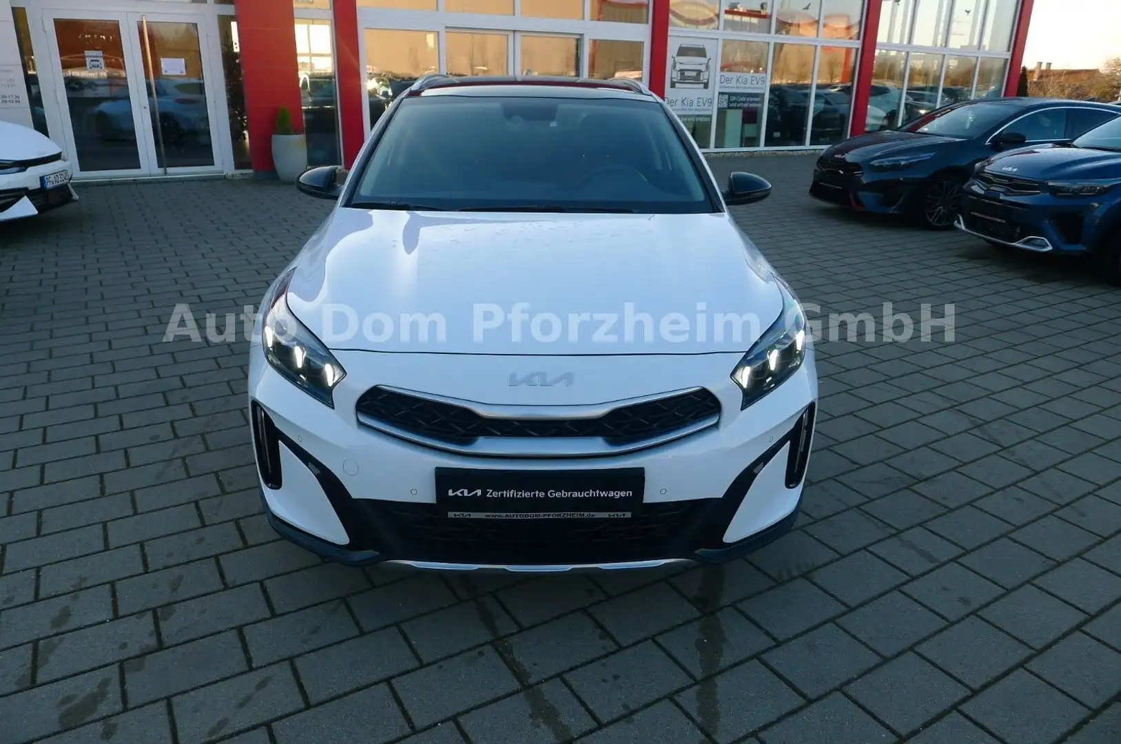Kia XCeed 1,6 D 48V  DCT Platinum/Panorama Weiß - 2