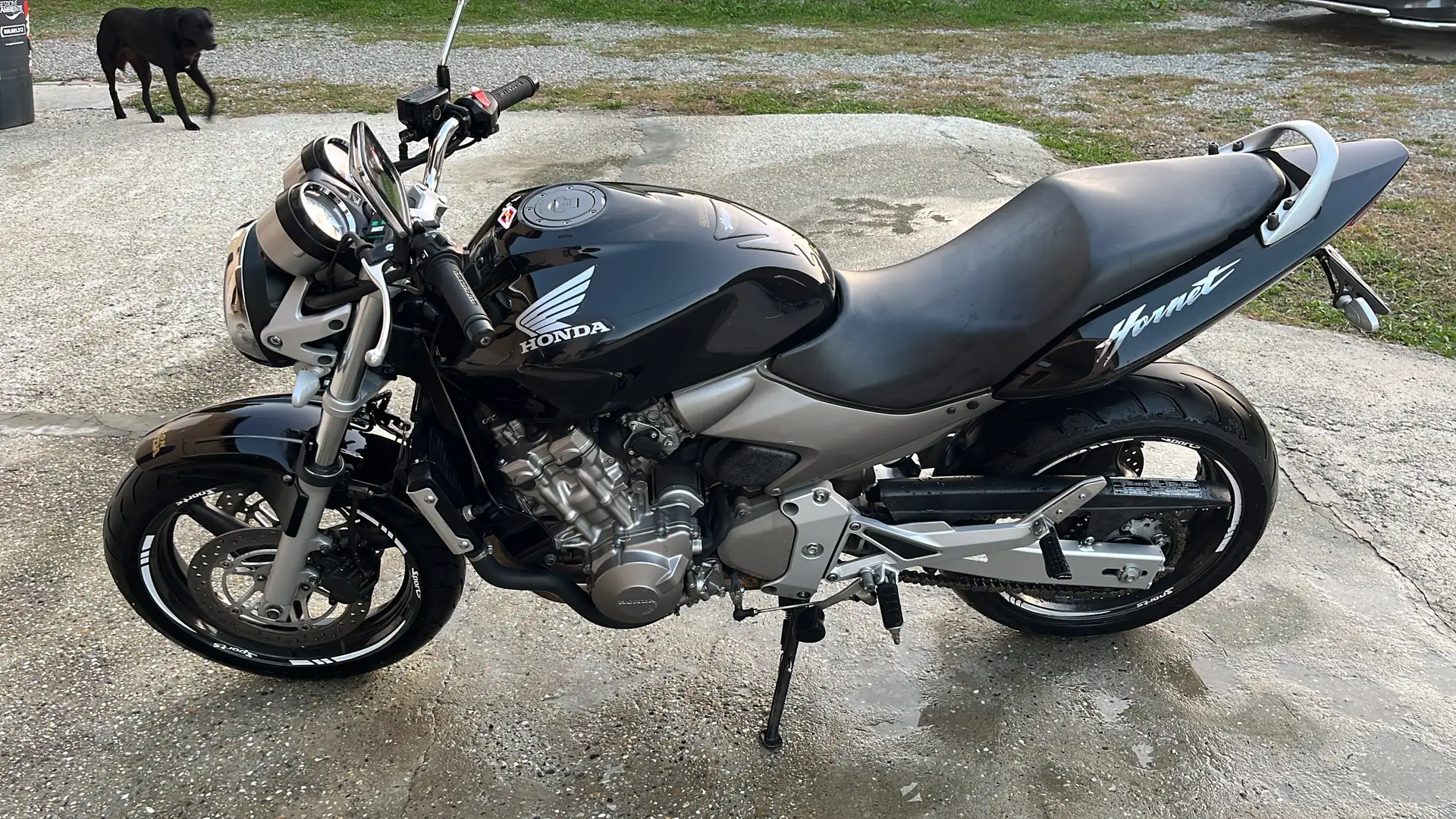 Honda Hornet 600 Negro - 2