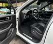 Porsche Cayenne III E-Hybrid *Bose*Pano*22Zoll*360°Kamera* Weiß - thumbnail 15