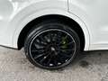 Porsche Cayenne III E-Hybrid *Bose*Pano*22Zoll*360°Kamera* Weiß - thumbnail 12