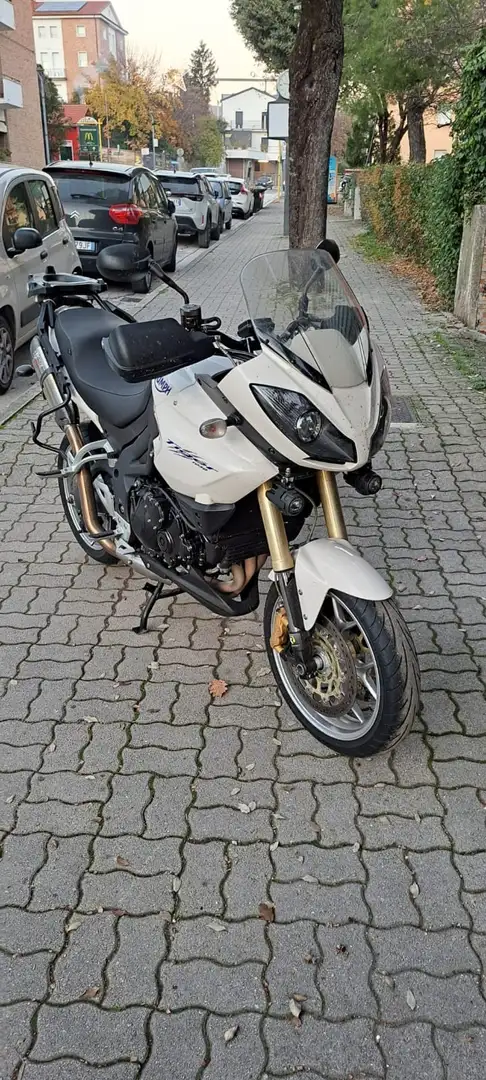 Triumph Tiger 1050 Blanco - 2