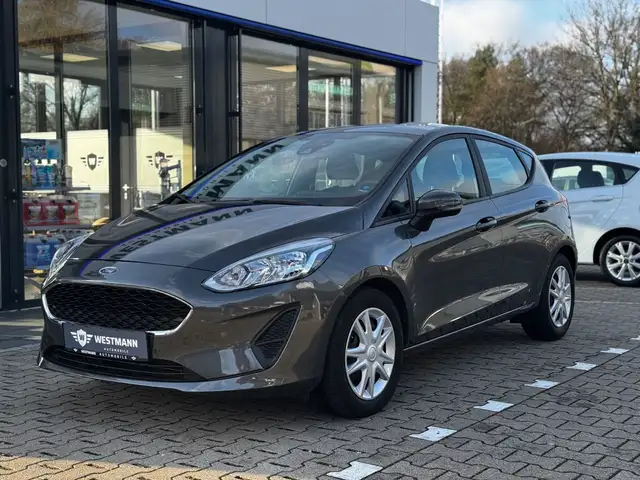 Ford Fiesta Trend/SHZ/NAVI/PDC/KLIMA/AUTOMATIK