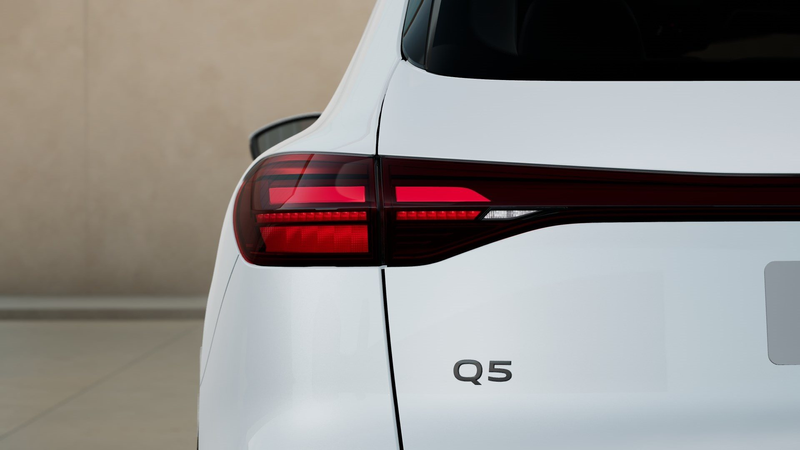 Audi Q5 TDI qu AHK PANO LED Kamera ACC PDC Navi+ 19" — photo 7
