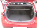 Kia Rio 1.2 DPi 82 CV EcoGPL Style UNICOPRO Rosso - thumbnail 14