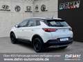 Opel Grandland 1.2 T INNOVATION Bi-LED CAM Ergo SHZ Weiß - thumbnail 4