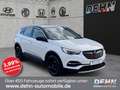 Opel Grandland 1.2 T INNOVATION Bi-LED CAM Ergo SHZ Weiß - thumbnail 1