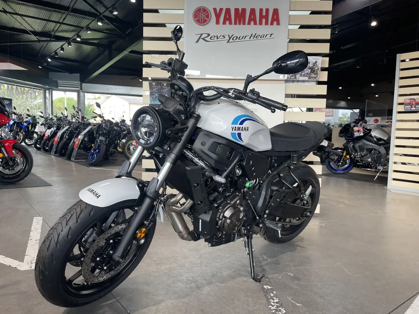 Yamaha XSR 700 Blanc - 2