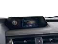 Lexus UX 250h Business Line crna - thumbnail 11