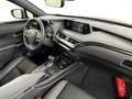 Lexus UX 250h Business Line Negru - thumbnail 6