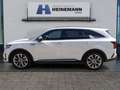 Kia Sorento 2.2 CRDi 4WD Platinum Weiß - thumbnail 2