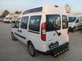 Fiat Doblo 1.9 mjt 105cv 5 posti trasporto disabili Bianco - thumbnail 6